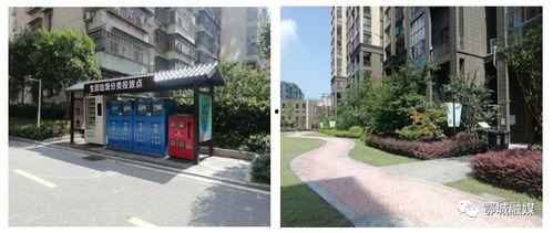 绿洲小区爆料视频最新,揭秘小区神秘事件真相！